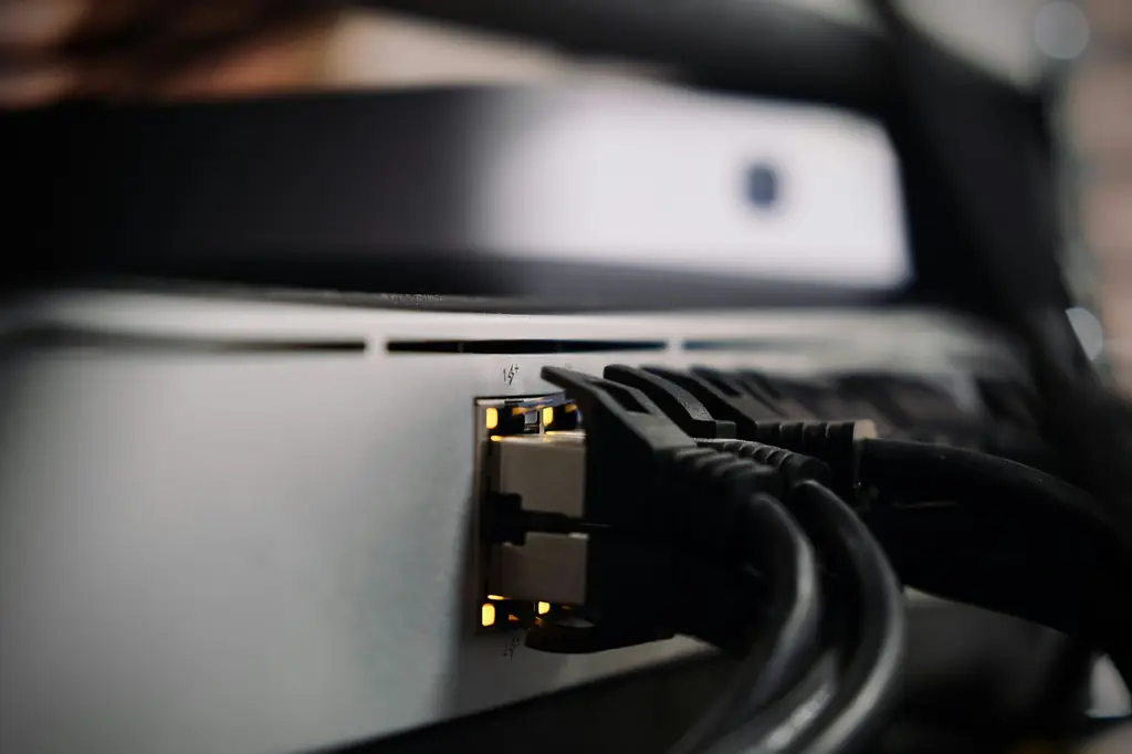 Ethernet cables plugged into the ports of a network appliance